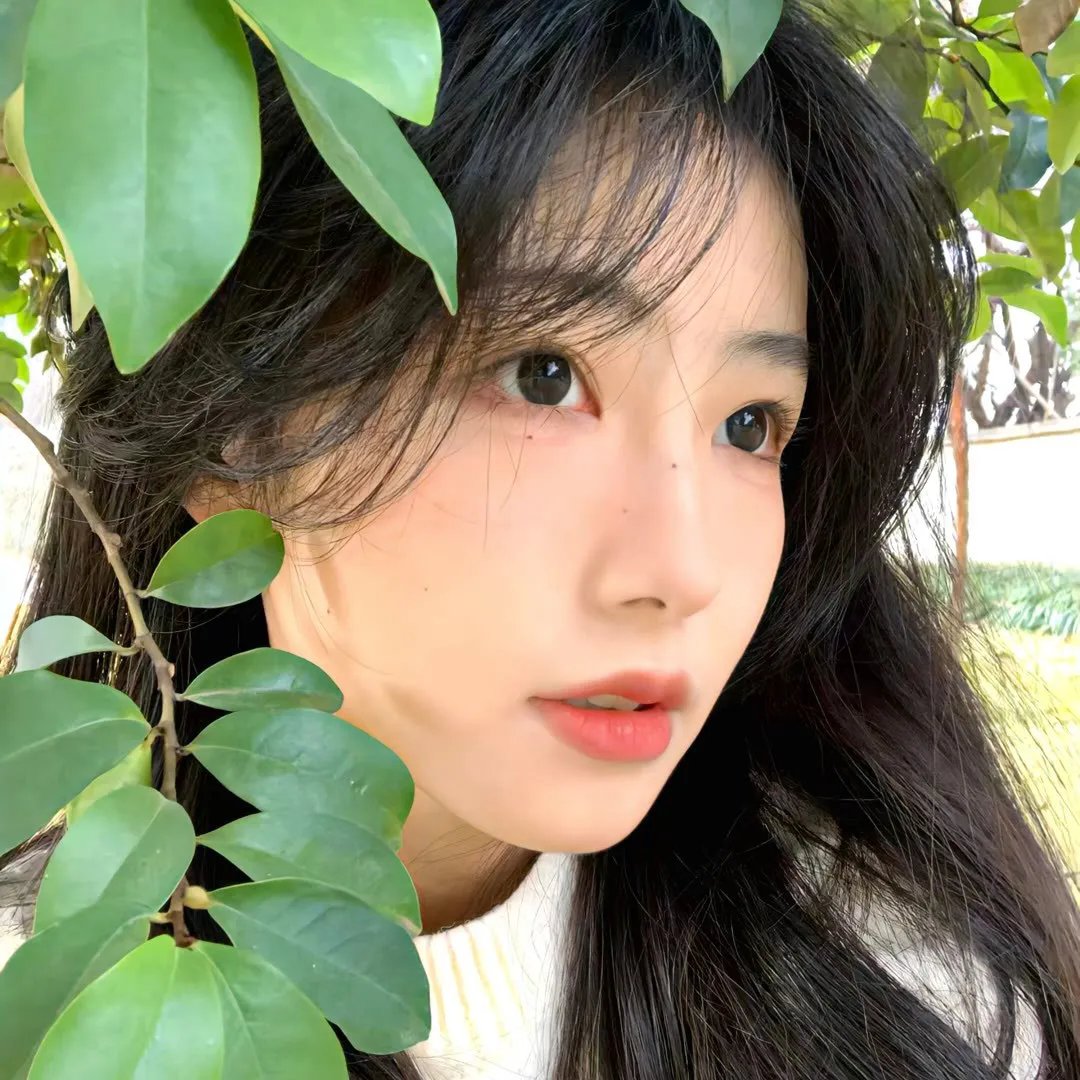 向下扭曲